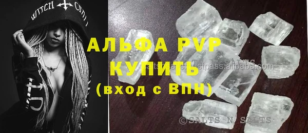 прущие грибы Балахна